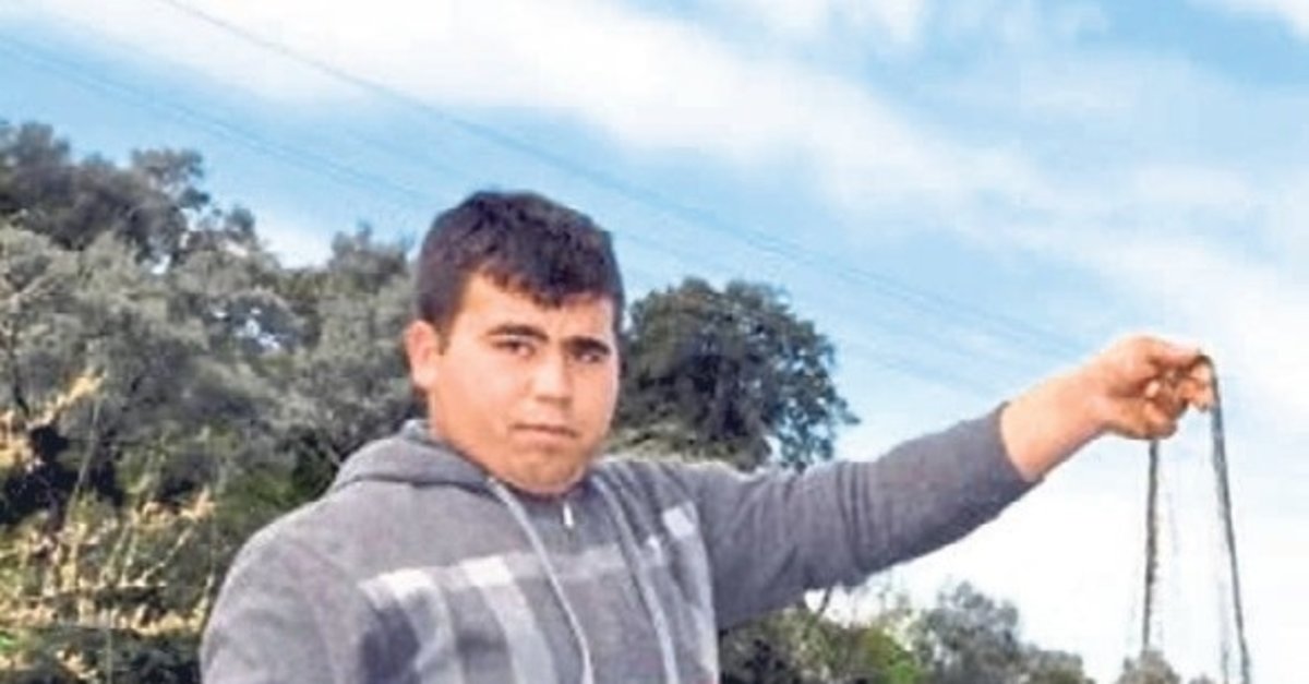 Aydın'da pamuk tarlasında balık mesaisi!