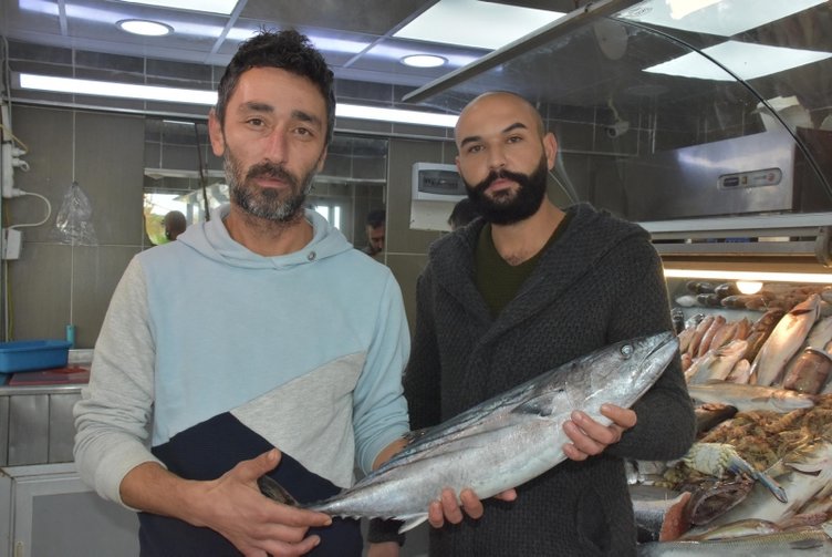 Balık alırken dikkat! Palamut, torik ve tombik balıklarından nasıl ayırt edilir?