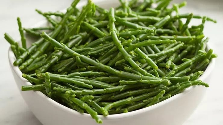 Deniz börülcesinin faydaları nelerdir?