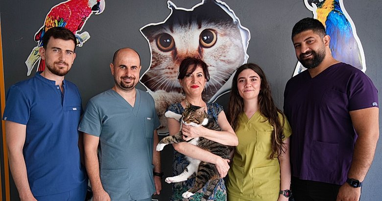 Diyabetli kediye kök hücre nakli