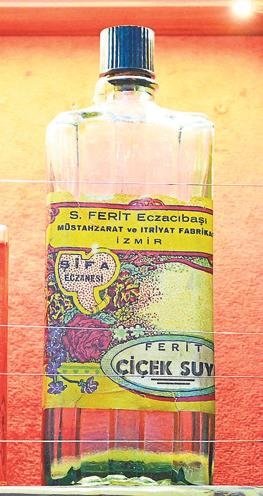 Dünyanın kolonyası Çınar’ın Gölgesinde