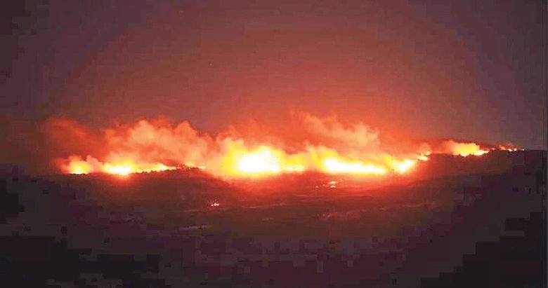 Ormanı yakan kömür imalatçısı tutuklandı