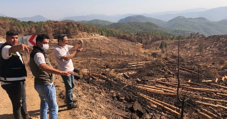 52 bin hektar ormanlık alan küle dönmüştü! Muğla’da yanan alanlar fidan dikimine hazırlanıyor