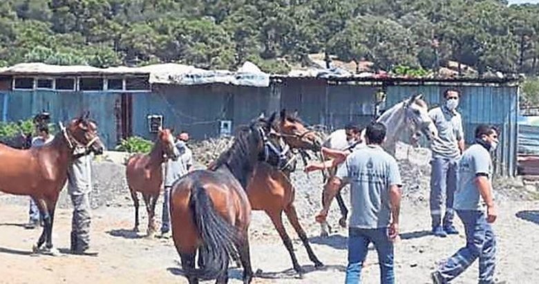 Başkan Kaya bu kez atların ’ip’ini kopardı