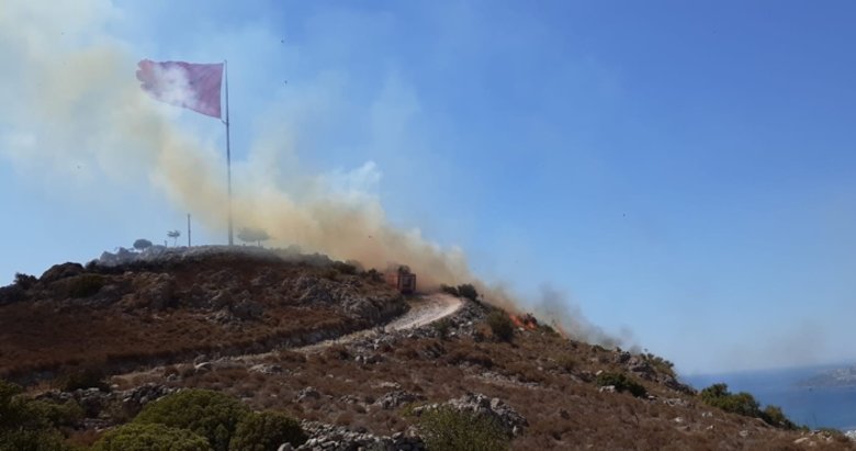 Bodrum'da yangın - Muğla Haberleri