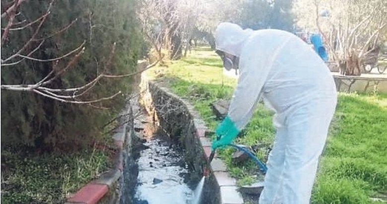 Turizmde sivrisineğe geçit yok