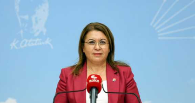 Egeli vekillerin dosyası kabarık