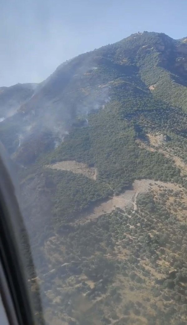 Aydın’da başlayan orman yangını 2 gündür devam ediyor