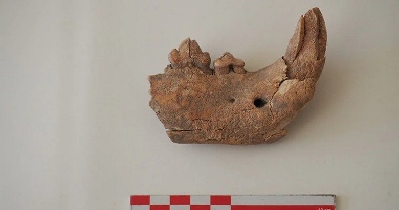 Afyon’daki antik kentte bulundu! Bir aslana ya da pantere ait
