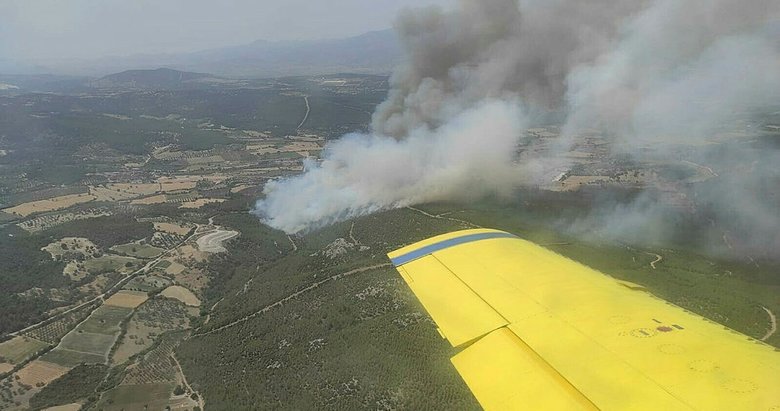 İzmir’deki orman yangını nedeniyle 3 mahalle tahliye edildi