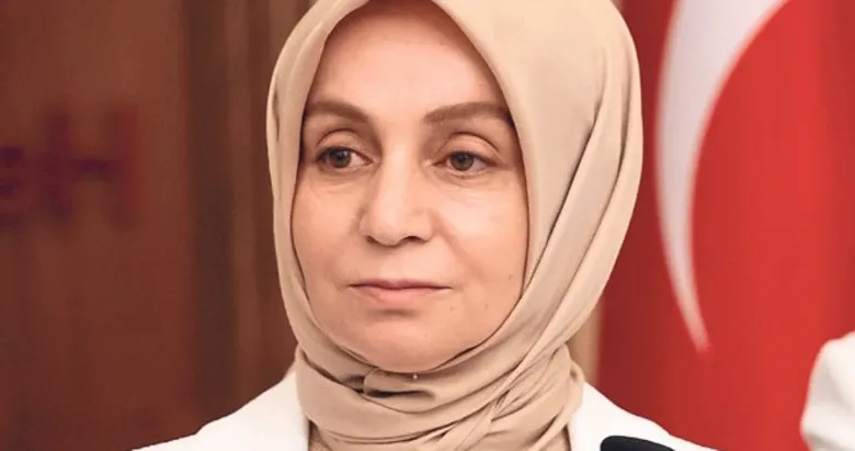 Usta: Çalışmalar Meclis tatile girmeden tamamlanabilir