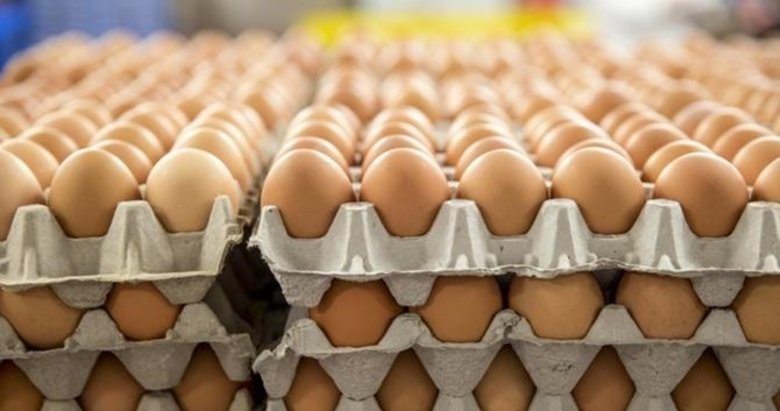 Yumurta üreticilerine destek! 90 gün vadeli satış yapılacak...