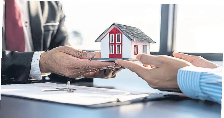 Emlakçı ve galericilere ceza yağdı