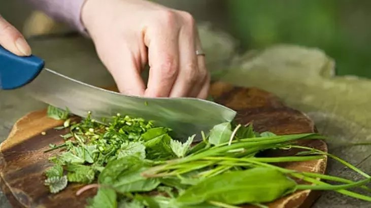 İbn-i Sina’nın tavsiye ettiği ısırgan otunun mucizevi faydaları! Her öğüne yakışan ısırgan otu tarifi