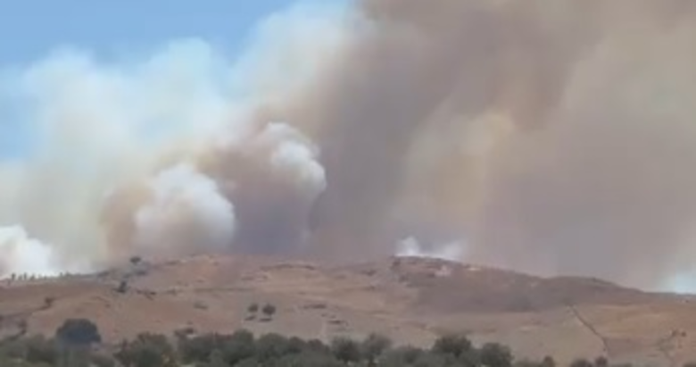 Son dakika: İzmir’de orman yangını! Müdahale sürüyor