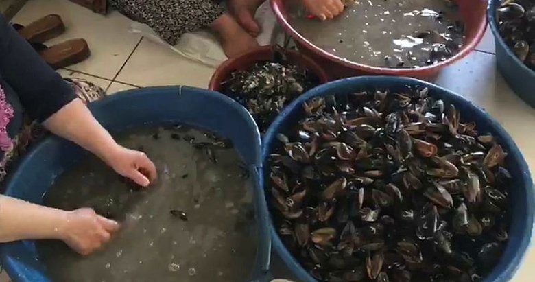 İzmir’de sağlıksız koşullarda üretilen 100 kilo midyeye el konuldu
