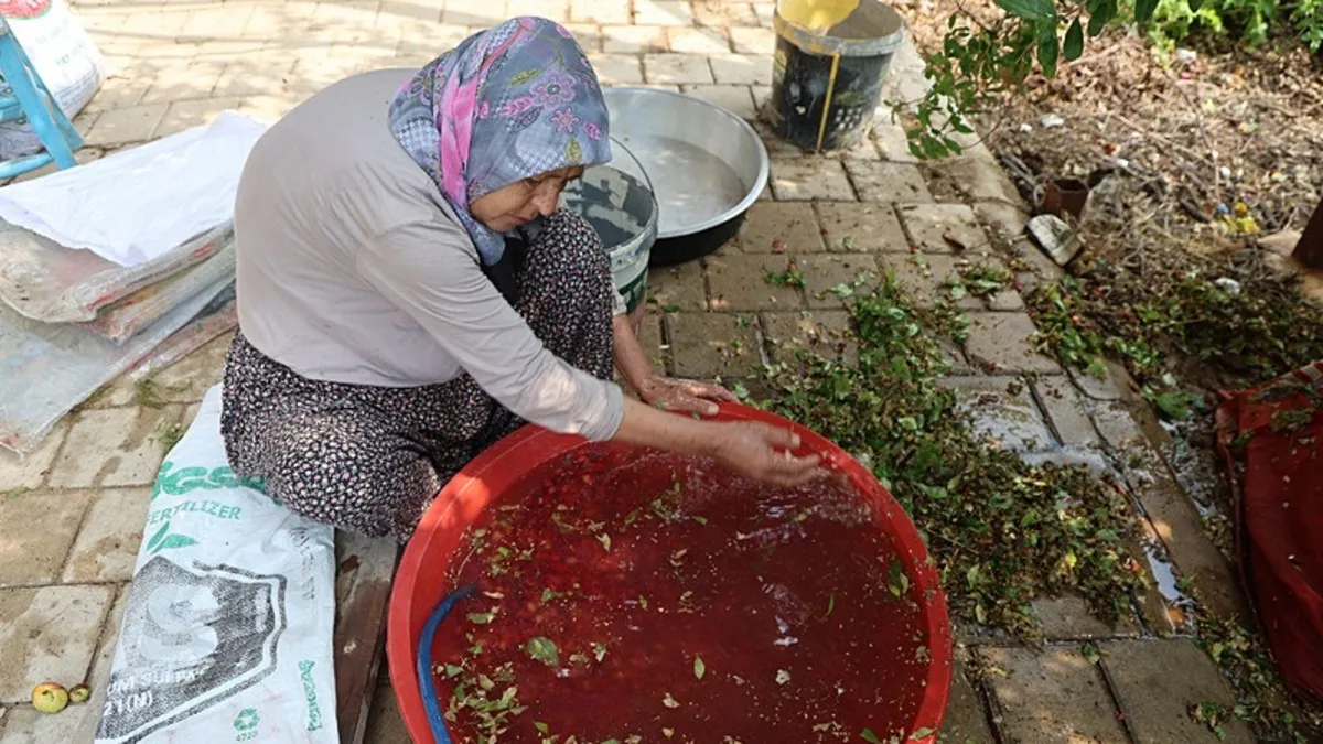 Evde kola devri bitti! Hem doğal hem gazlı