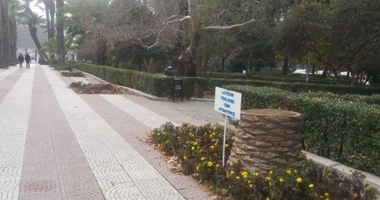 İzmir’de ağaç katliamı! 15 palmiye ağacı kesildi