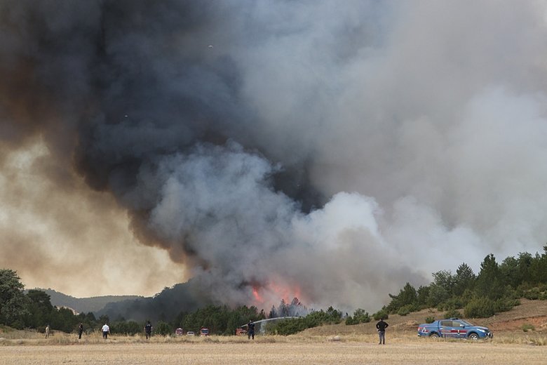 Eskişehir’de çıkan orman yangını Afyonkarahisar’a sıçradı