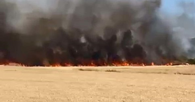 Çanakkale’de korkutan arazi yangını