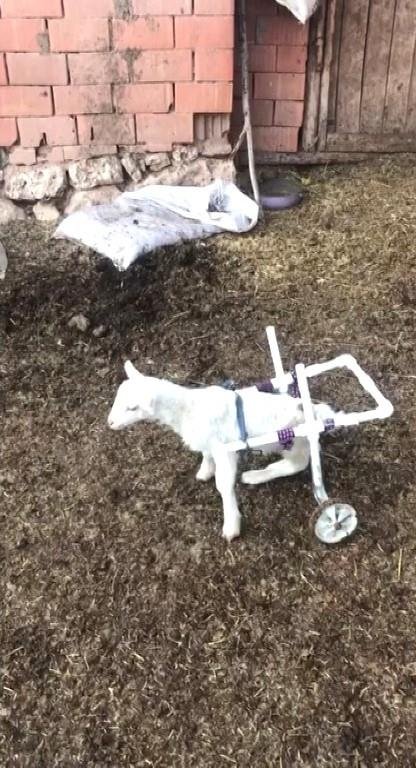 Kütahya’dan yürekleri ısıtan görüntü