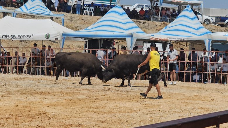 Tire’de boğaları sıcak bile engellemedi