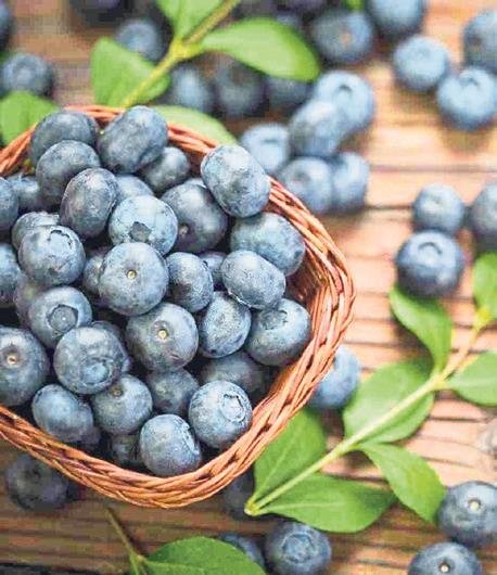 Kuru ciltlere elveda