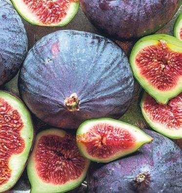 Taze incir ihracatında hedef 75 milyon dolar