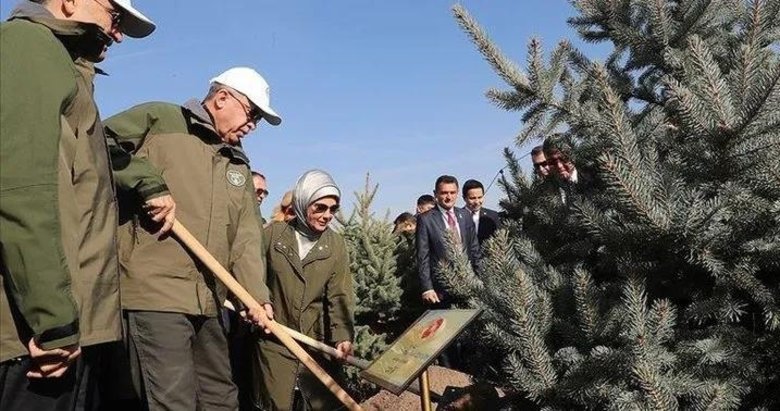 Başkan Erdoğan’dan Milli Ağaçlandırma Günü paylaşımı