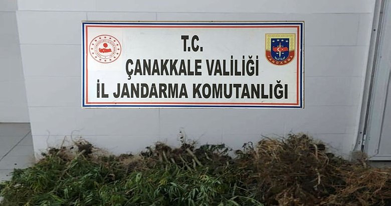 Çanakkale Biga’da uyuşturucu operasyonu