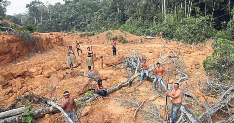 Amazon Ormanları’ndaki kayıp 430 kilometrekare
