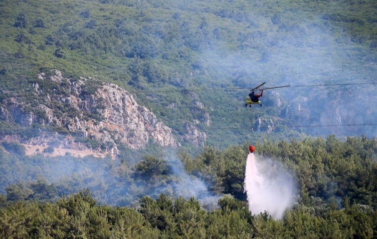 İzmir Bornova’da orman yangını