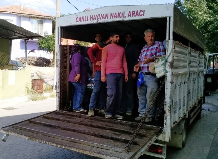 Manisa’da kamyonet kasasında 23 işçi taşıyan sürücüye şok ceza
