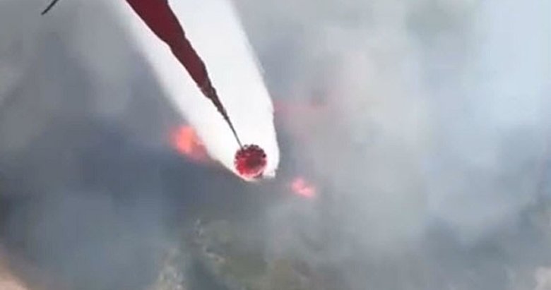 Balıkesir’de orman yangını!