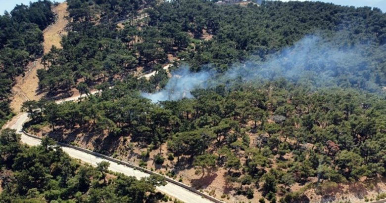Son dakika: İzmir’de ormanlık alanda yangın