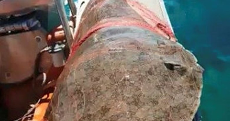 İzmir’de ağlara takılı dev vatoz kurtarıldı