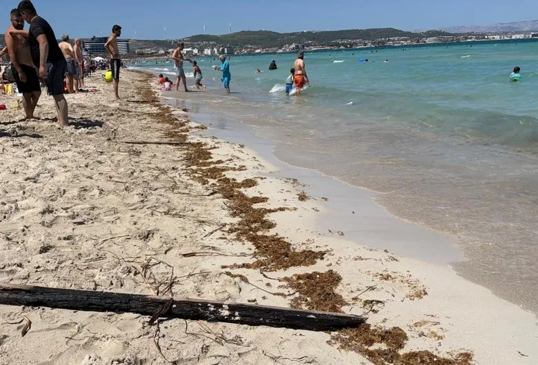 izmir-cesme-ilica-plajinda-tepki-ceken-goruntuler-tatilciler-saskina-dondu-1785140342878.jpeg