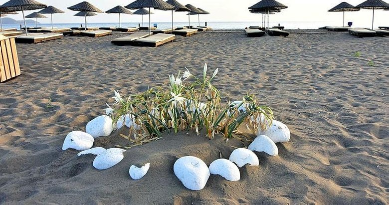 Plajda görürseniz dikkat edin! Binlerce lira cezası var