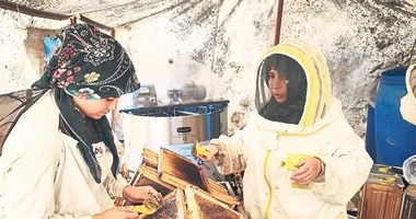Muğlalı arıcılardan glikozlu bal tepkisi!