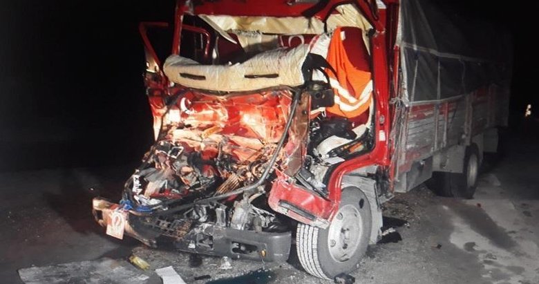 Çarptı, öldürdü, kaçtı! Jandarma 2,5 ay sonra tespit edip yakaladı