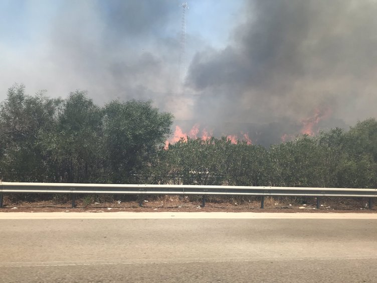 İzmir Çeşme’de otluk alanda yangın