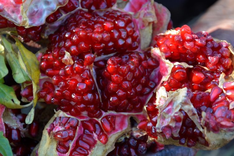 Narın en faydalı kısmını çöpe atıyoruz Nar kabuğunun faydaları neler?