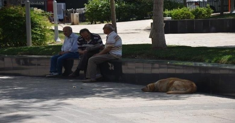 Afrika sıcakları Denizli’de de kendini hissettirdi