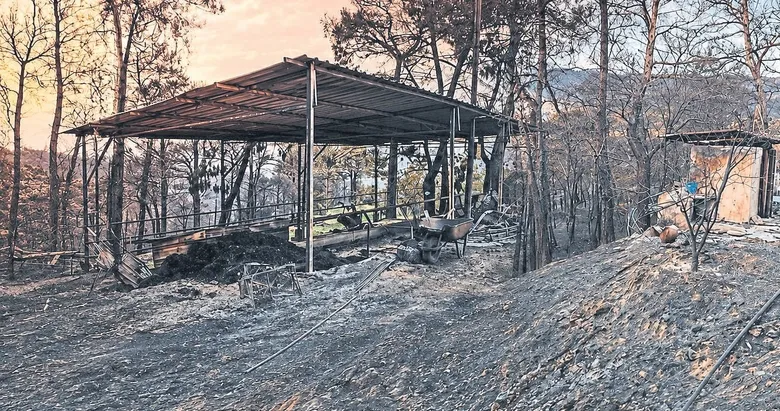 Hayvanları için alevlerin arasına giren köylü 20 gün sonra öldü