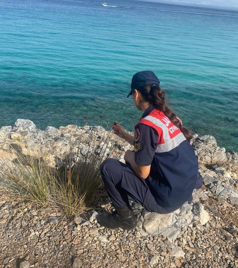 Kıyı Sarımsağı koparmanın cezası 245 bin lira