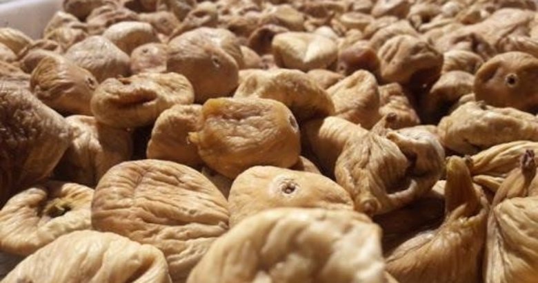 Uzmanlardan incir üreticilerine ’depolama’ uyarısı