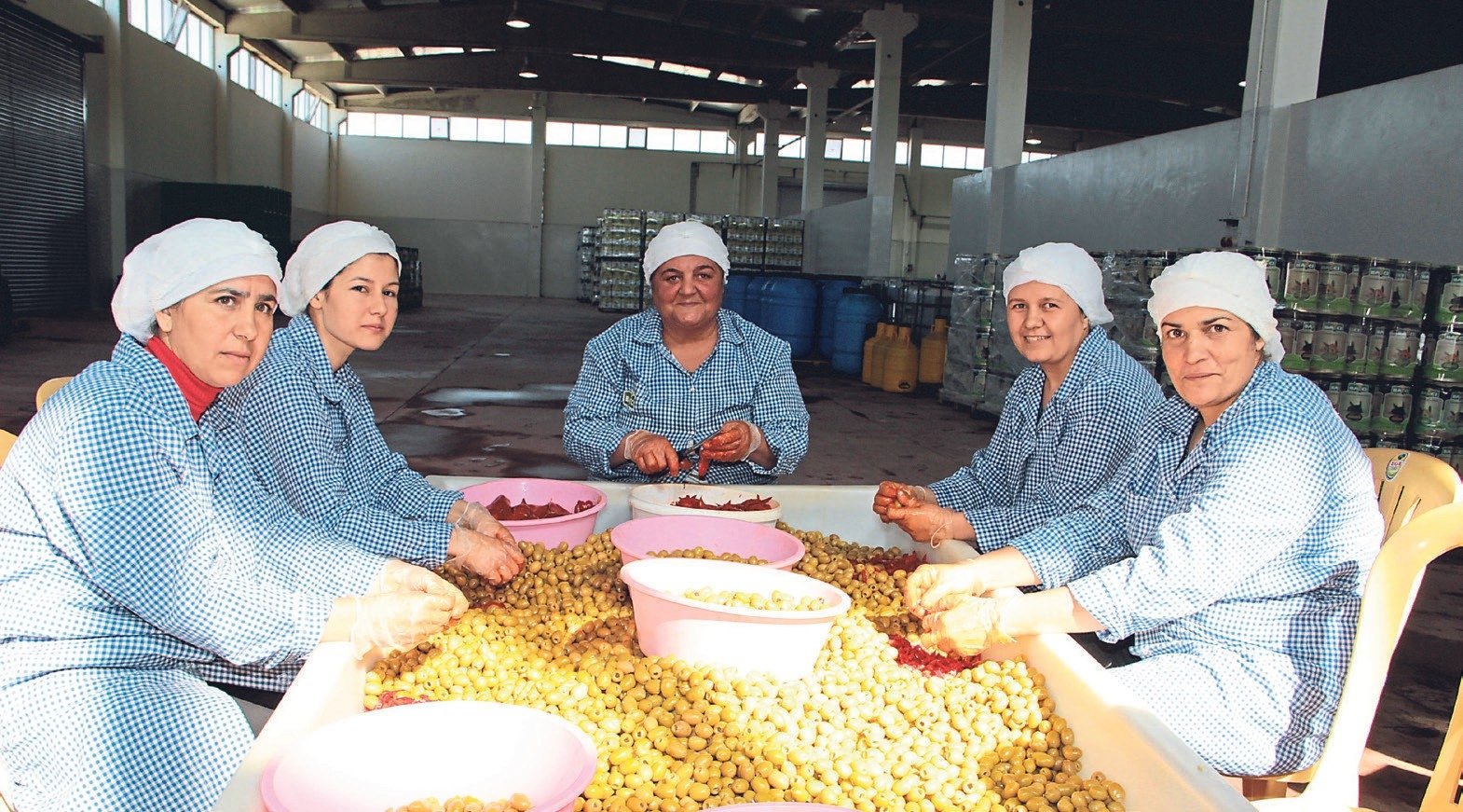 Zeytin ihracatı rekora gidiyor