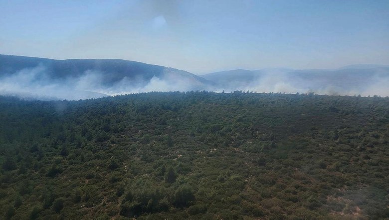 İzmir’de bir yangın daha! Bergama’da alevler kontrol altında