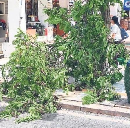 Deniz taştı çatılar uçtu