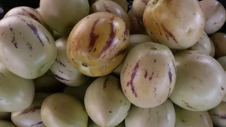 Pepino nedir? Kan şekerini dengeleyen leziz enerji deposu pepino meyvesinin faydaları nelerdir?